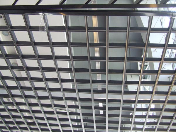 �ָ�����